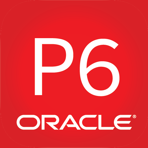 Oracle P6